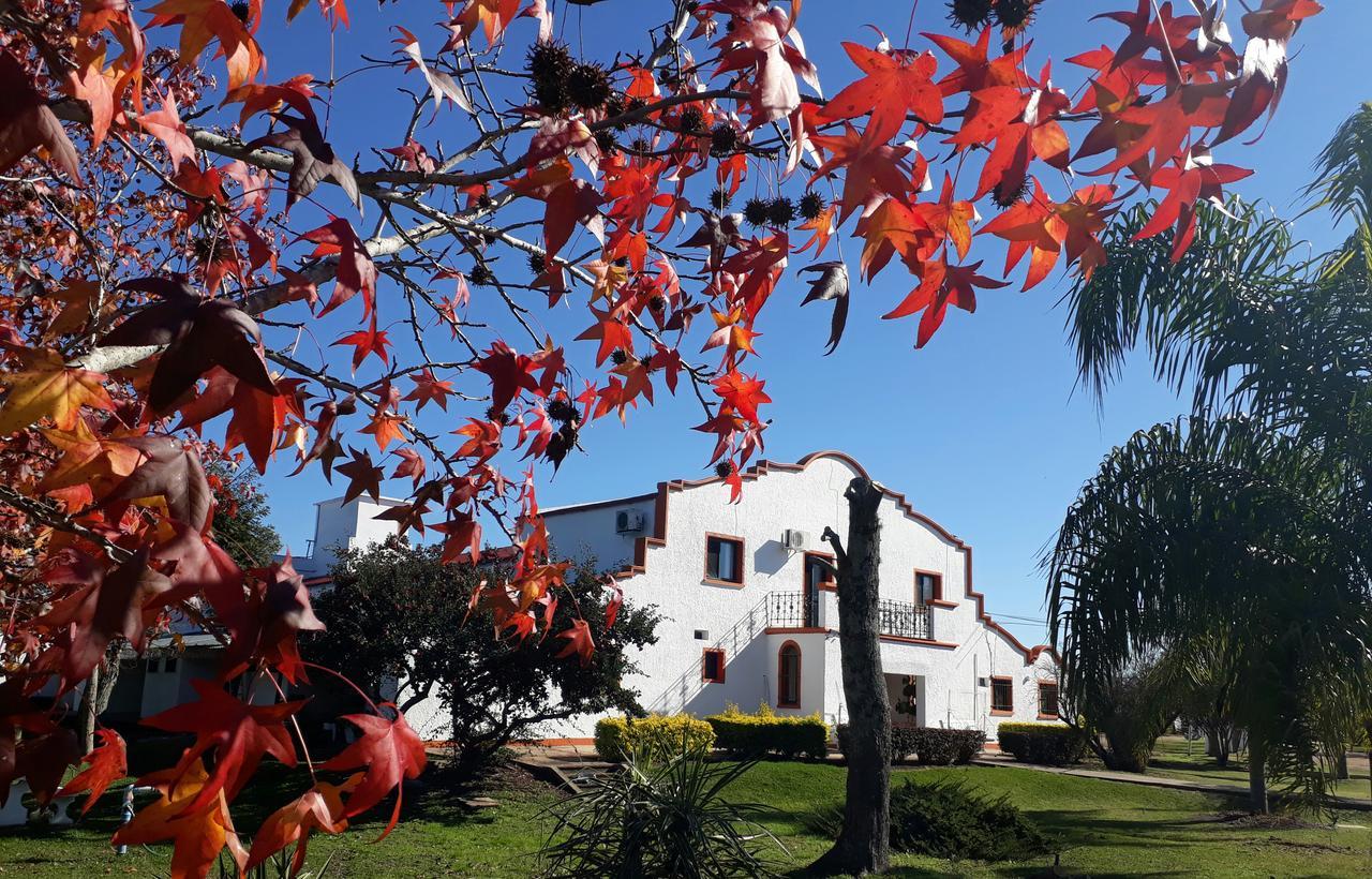 Hotel La Posta Del Dayman Termas del Daymán Exteriör bild